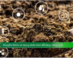 Images (1)